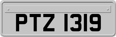 PTZ1319