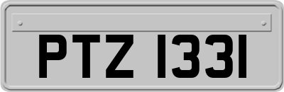 PTZ1331