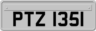 PTZ1351