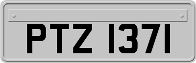 PTZ1371
