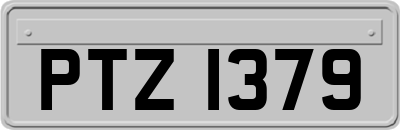PTZ1379
