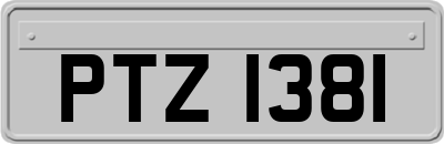 PTZ1381