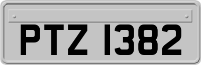 PTZ1382