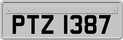 PTZ1387