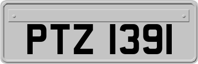 PTZ1391