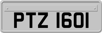 PTZ1601