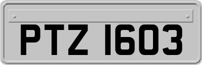 PTZ1603