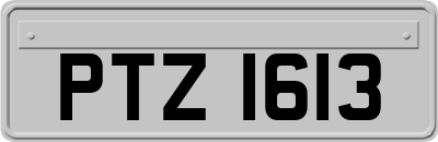 PTZ1613