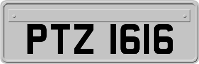 PTZ1616