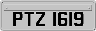 PTZ1619