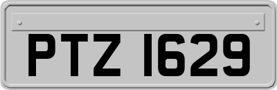 PTZ1629