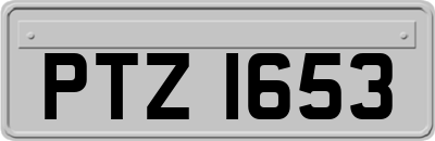 PTZ1653