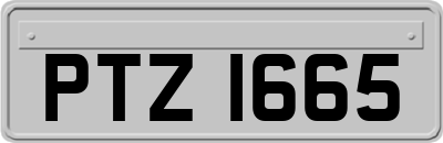 PTZ1665