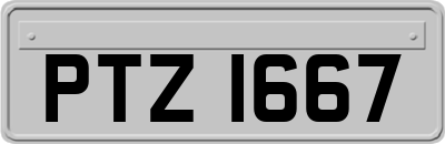 PTZ1667