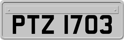 PTZ1703