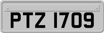 PTZ1709