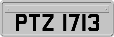 PTZ1713