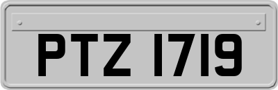 PTZ1719