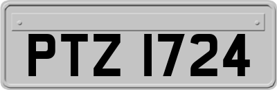 PTZ1724