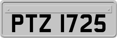 PTZ1725