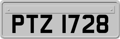 PTZ1728