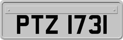 PTZ1731