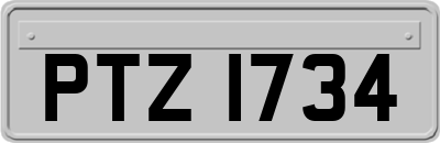 PTZ1734