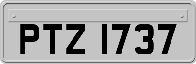 PTZ1737