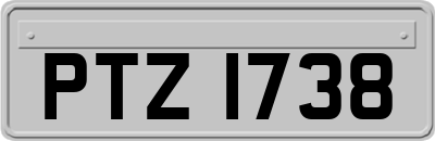 PTZ1738