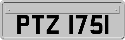 PTZ1751