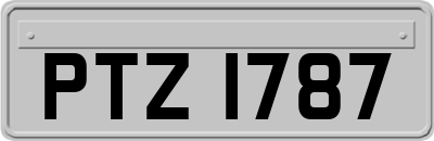 PTZ1787