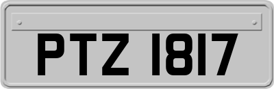 PTZ1817