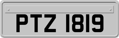 PTZ1819