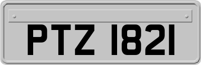 PTZ1821