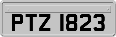 PTZ1823