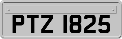 PTZ1825