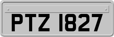 PTZ1827