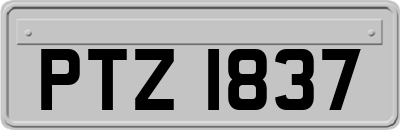 PTZ1837