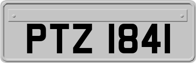 PTZ1841