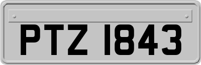 PTZ1843