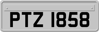 PTZ1858