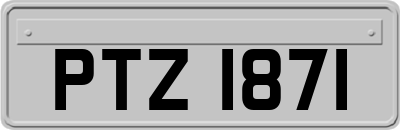 PTZ1871