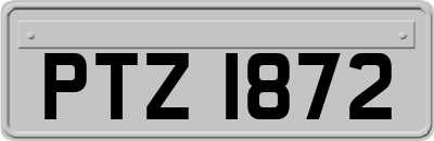 PTZ1872