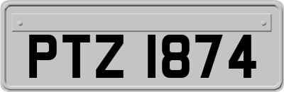 PTZ1874