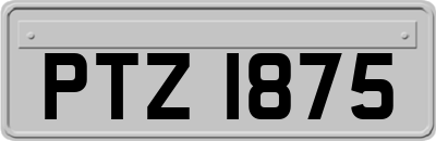 PTZ1875