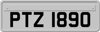 PTZ1890