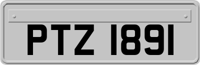 PTZ1891