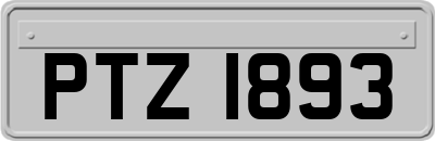 PTZ1893