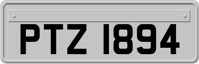 PTZ1894