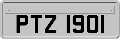 PTZ1901